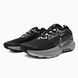 Nike Zoom Pegasus Trail 5 GTX Gore-Tex Black Grey nk-21094-42 фото 2