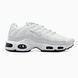Nike Air Max TN Plus White Black nk-17578-36 фото 4