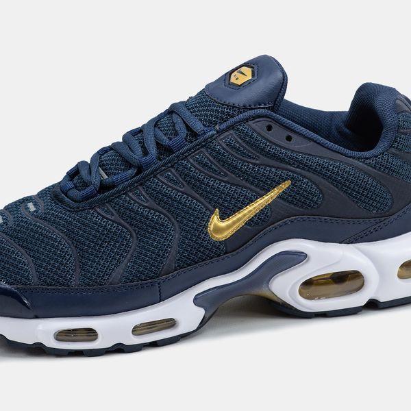 Nike Air Max TN Plus Blue Gold White nk-19560-41 фото