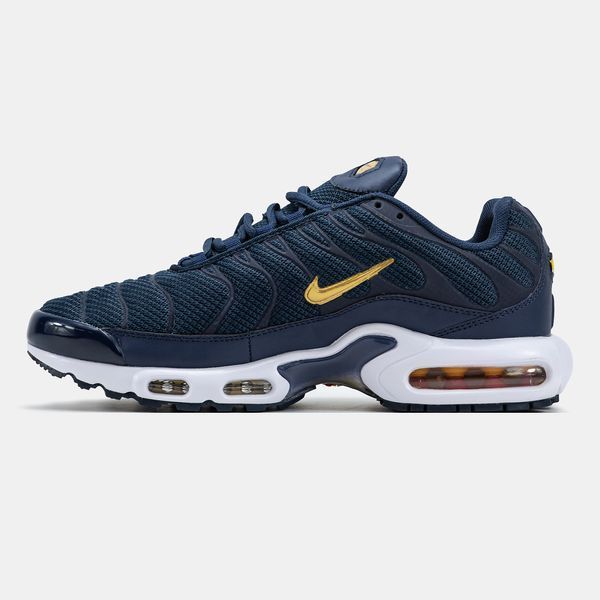 Nike Air Max TN Plus Blue Gold White nk-19560-41 фото