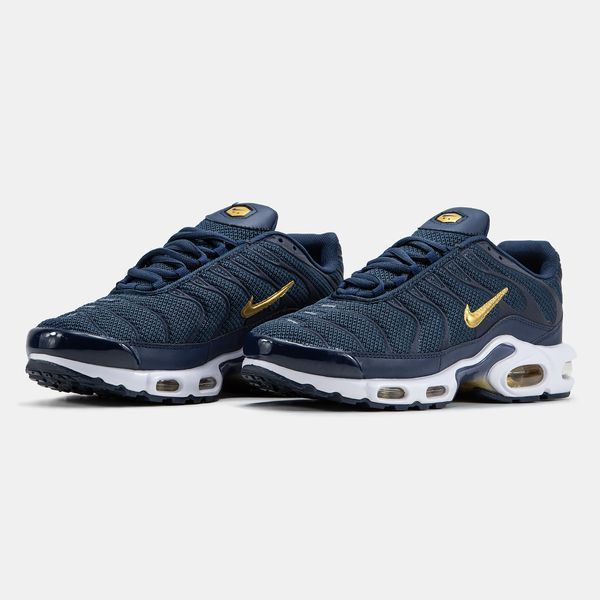 Nike Air Max TN Plus Blue Gold White nk-19560-41 фото