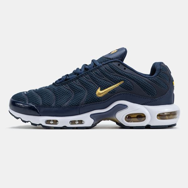 Nike Air Max TN Plus Blue Gold White nk-19560-41 фото