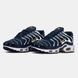 Nike Air Max TN Plus Blue Gold White nk-19560-41 фото 4