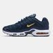 Nike Air Max TN Plus Blue Gold White nk-19560-41 фото 6